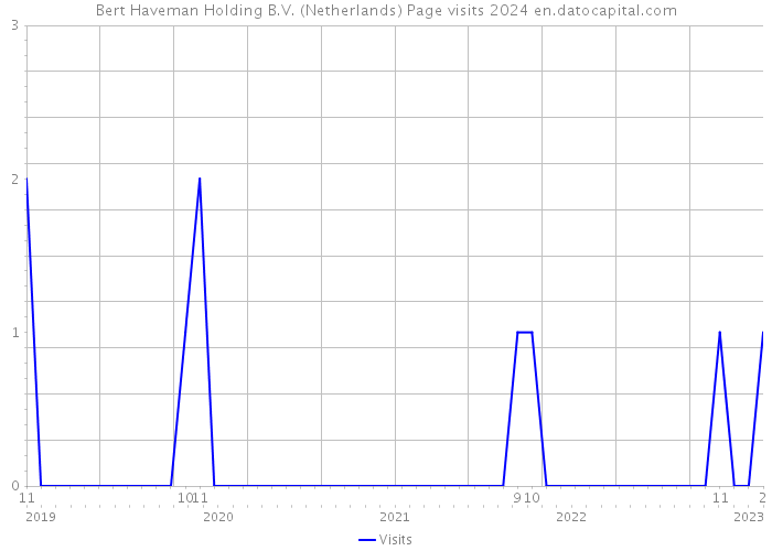 Bert Haveman Holding B.V. (Netherlands) Page visits 2024 