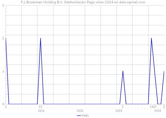 F.J. Bouwman Holding B.V. (Netherlands) Page visits 2024 