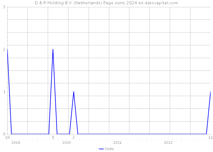 D & R Holding B.V. (Netherlands) Page visits 2024 