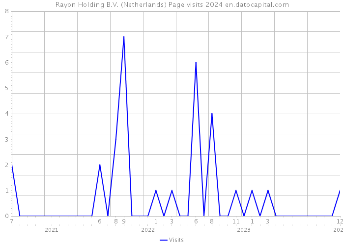Rayon Holding B.V. (Netherlands) Page visits 2024 