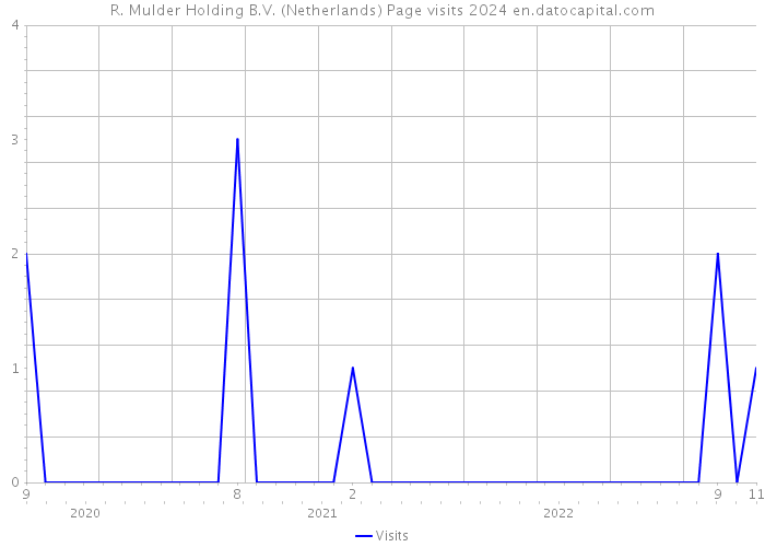 R. Mulder Holding B.V. (Netherlands) Page visits 2024 