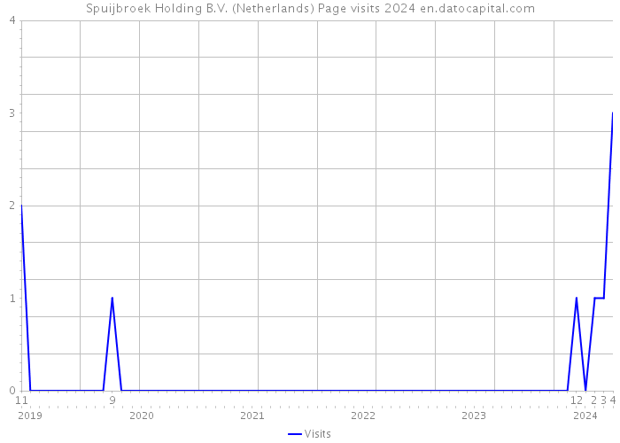 Spuijbroek Holding B.V. (Netherlands) Page visits 2024 