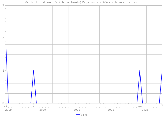 Veldzicht Beheer B.V. (Netherlands) Page visits 2024 