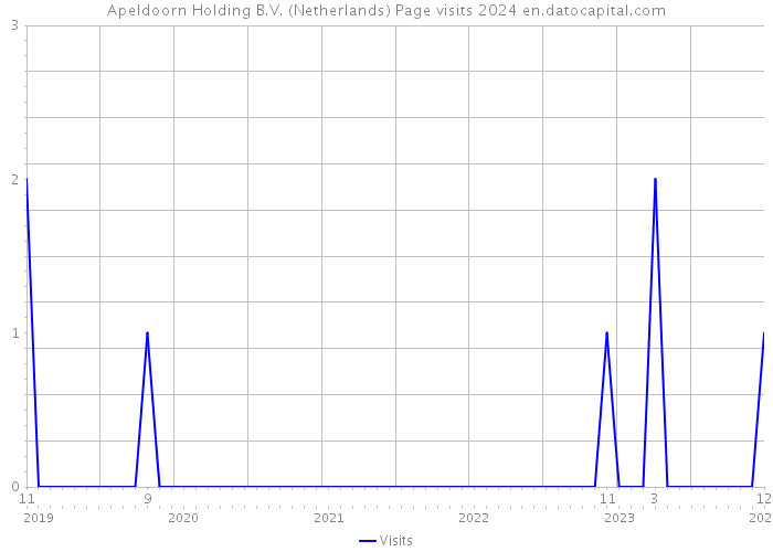Apeldoorn Holding B.V. (Netherlands) Page visits 2024 