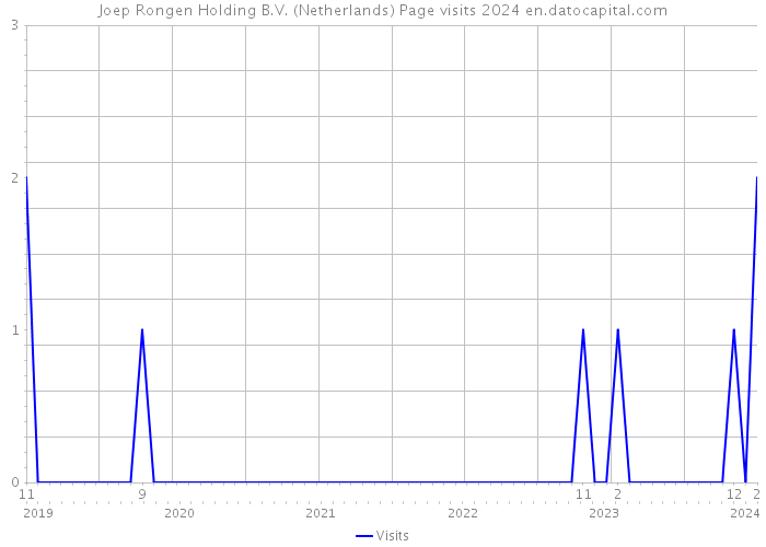 Joep Rongen Holding B.V. (Netherlands) Page visits 2024 