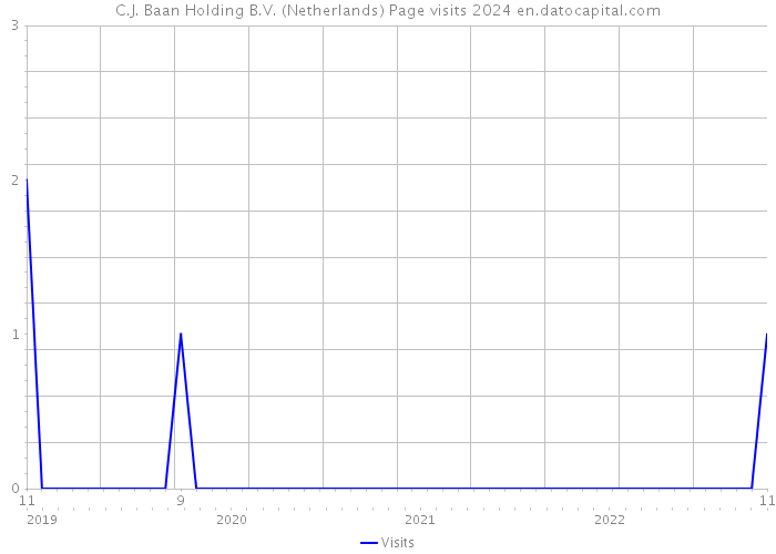 C.J. Baan Holding B.V. (Netherlands) Page visits 2024 