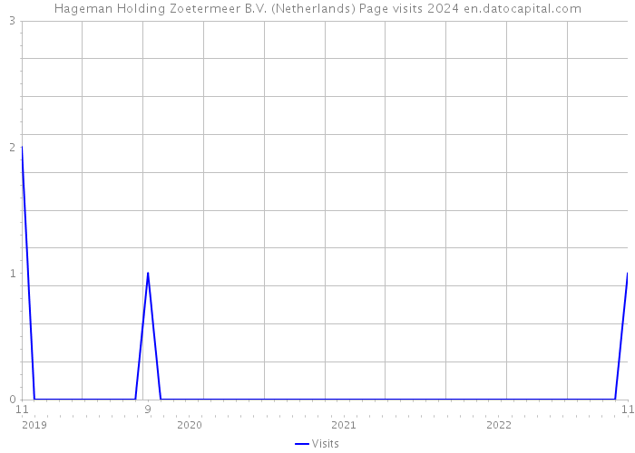 Hageman Holding Zoetermeer B.V. (Netherlands) Page visits 2024 