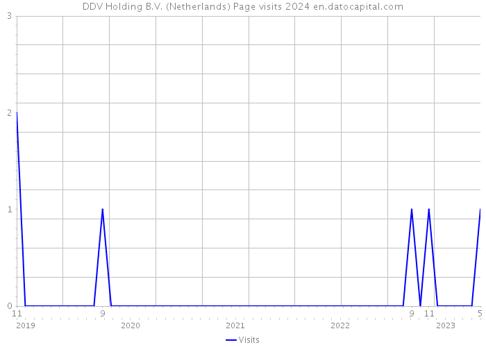 DDV Holding B.V. (Netherlands) Page visits 2024 