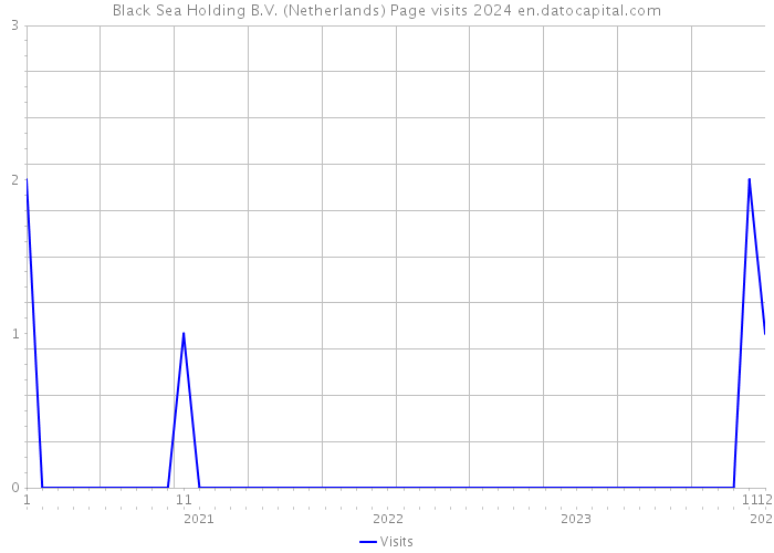 Black Sea Holding B.V. (Netherlands) Page visits 2024 