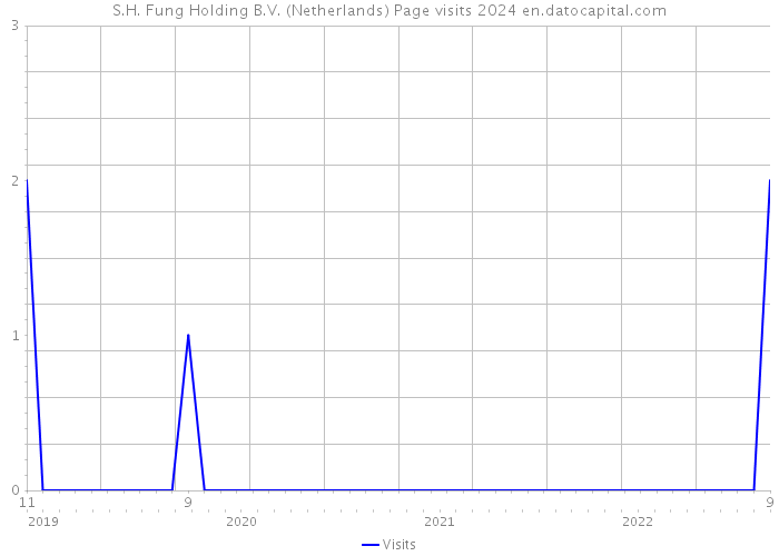 S.H. Fung Holding B.V. (Netherlands) Page visits 2024 