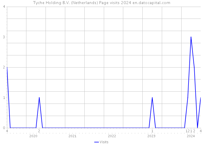 Tyche Holding B.V. (Netherlands) Page visits 2024 