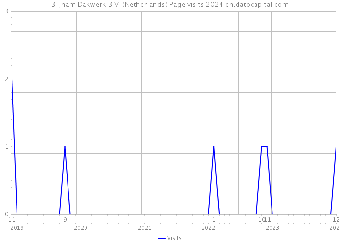 Blijham Dakwerk B.V. (Netherlands) Page visits 2024 