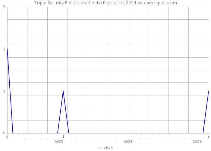 Triple Security B.V. (Netherlands) Page visits 2024 