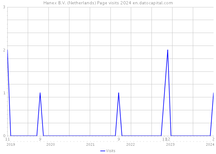 Hanex B.V. (Netherlands) Page visits 2024 