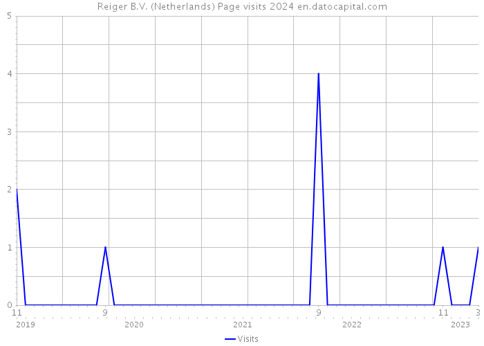 Reiger B.V. (Netherlands) Page visits 2024 