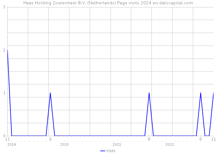 Haas Holding Zoetermeer B.V. (Netherlands) Page visits 2024 