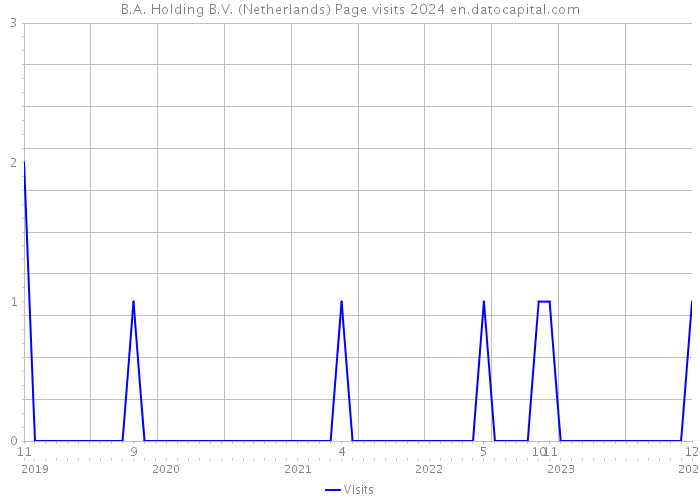 B.A. Holding B.V. (Netherlands) Page visits 2024 