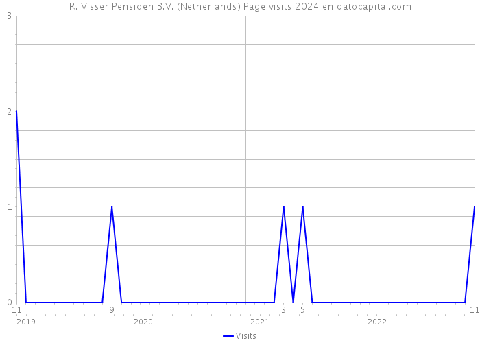R. Visser Pensioen B.V. (Netherlands) Page visits 2024 