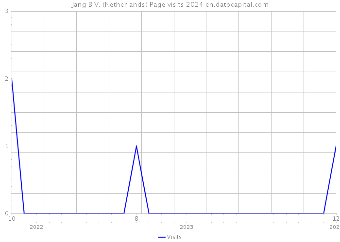 Jang B.V. (Netherlands) Page visits 2024 