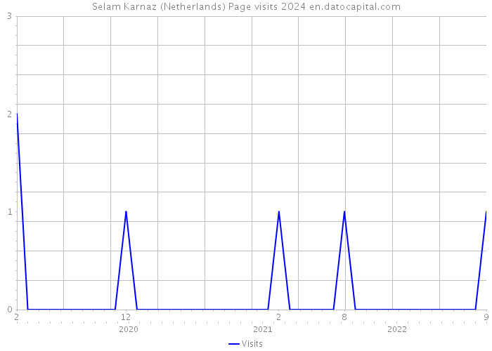 Selam Karnaz (Netherlands) Page visits 2024 