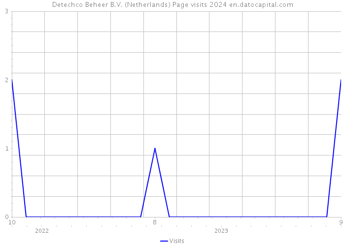 Detechco Beheer B.V. (Netherlands) Page visits 2024 
