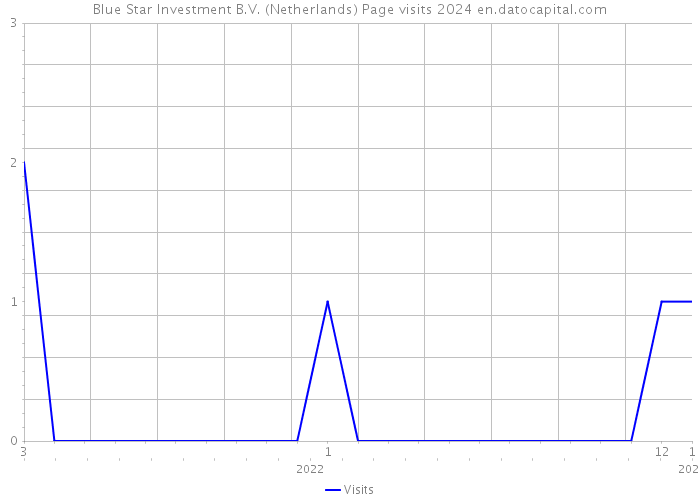 Blue Star Investment B.V. (Netherlands) Page visits 2024 