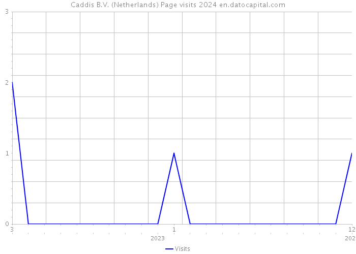 Caddis B.V. (Netherlands) Page visits 2024 