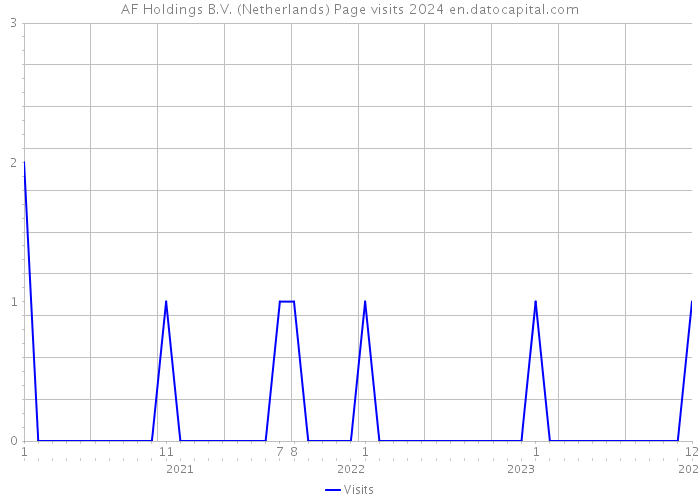AF Holdings B.V. (Netherlands) Page visits 2024 