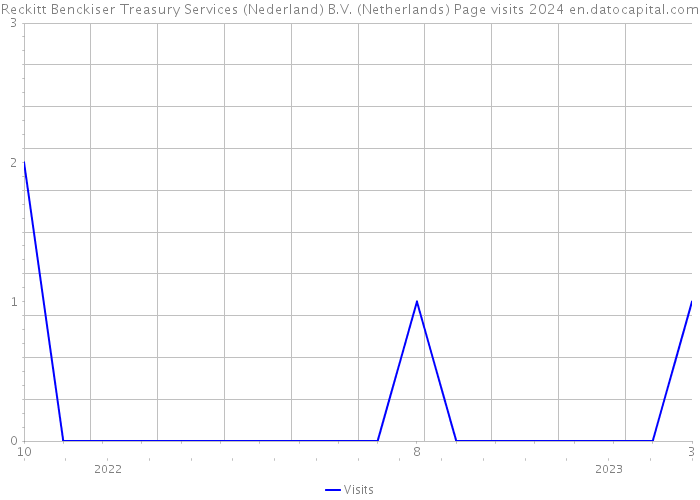 Reckitt Benckiser Treasury Services (Nederland) B.V. (Netherlands) Page visits 2024 