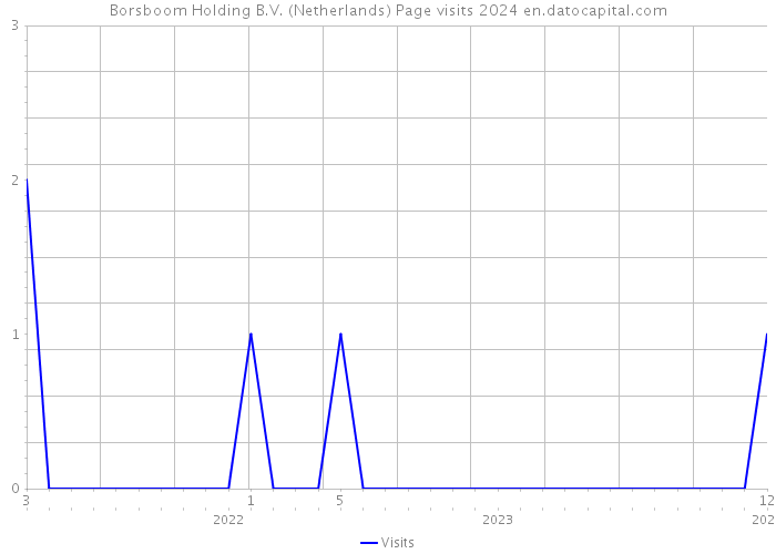 Borsboom Holding B.V. (Netherlands) Page visits 2024 