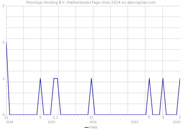 Pennings Holding B.V. (Netherlands) Page visits 2024 