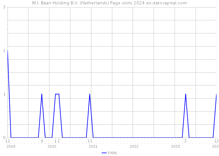 M.I. Baan Holding B.V. (Netherlands) Page visits 2024 