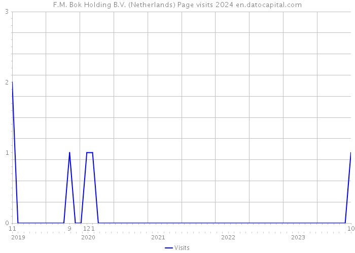 F.M. Bok Holding B.V. (Netherlands) Page visits 2024 
