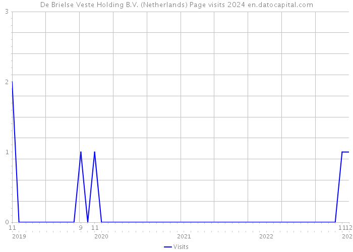 De Brielse Veste Holding B.V. (Netherlands) Page visits 2024 