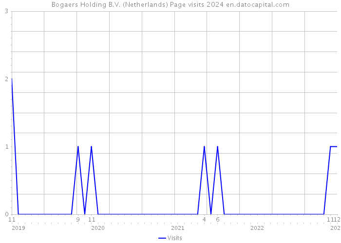 Bogaers Holding B.V. (Netherlands) Page visits 2024 