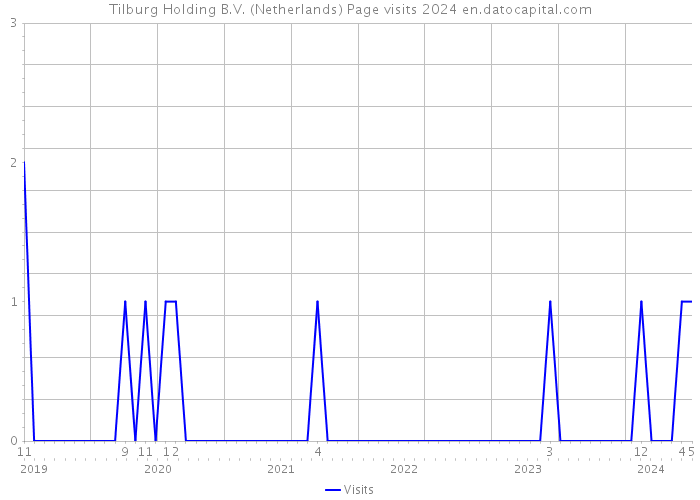 Tilburg Holding B.V. (Netherlands) Page visits 2024 