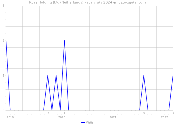 Roes Holding B.V. (Netherlands) Page visits 2024 