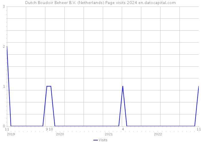 Dutch Boudoir Beheer B.V. (Netherlands) Page visits 2024 