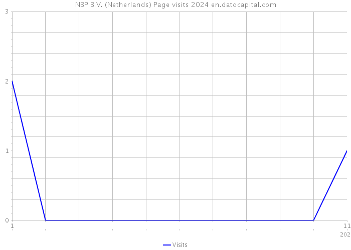 NBP B.V. (Netherlands) Page visits 2024 