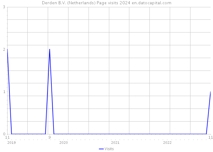 Derden B.V. (Netherlands) Page visits 2024 
