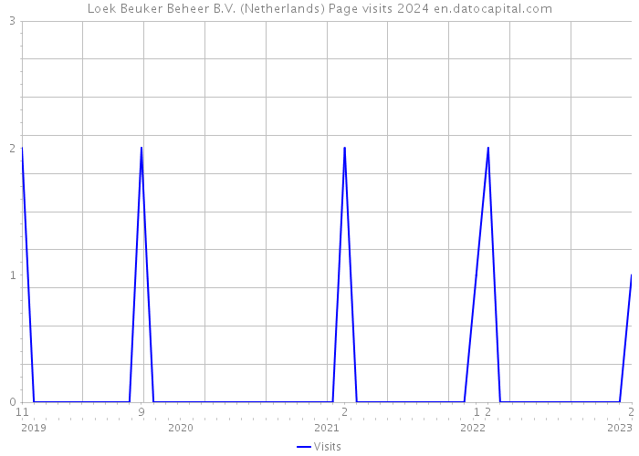 Loek Beuker Beheer B.V. (Netherlands) Page visits 2024 