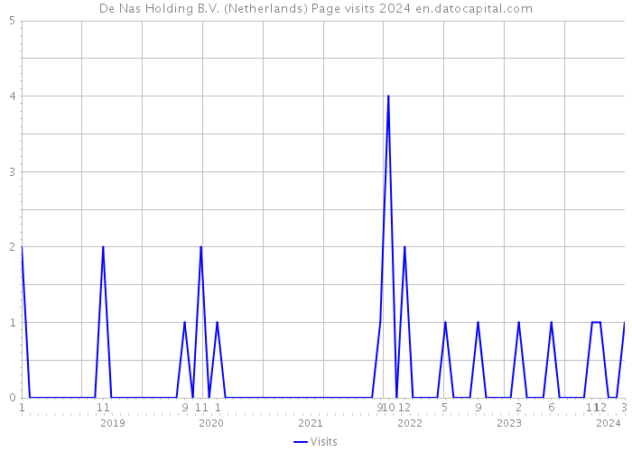 De Nas Holding B.V. (Netherlands) Page visits 2024 