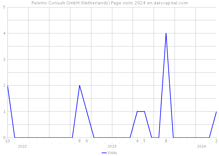 Pelemo Consult GmbH (Netherlands) Page visits 2024 