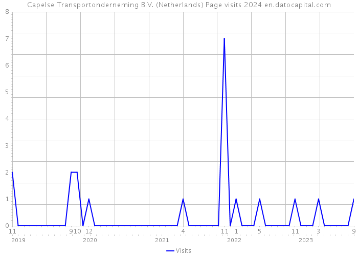 Capelse Transportonderneming B.V. (Netherlands) Page visits 2024 