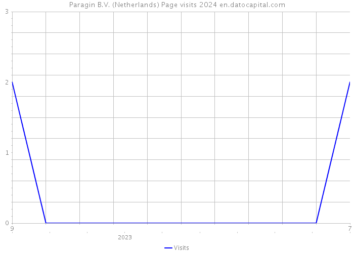 Paragin B.V. (Netherlands) Page visits 2024 