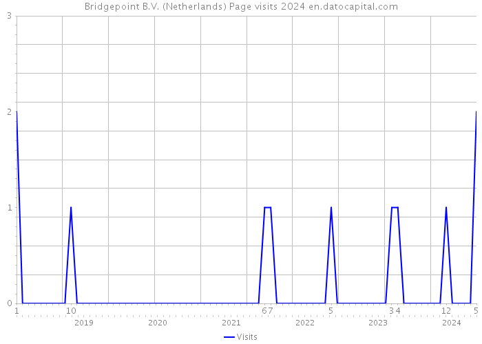 Bridgepoint B.V. (Netherlands) Page visits 2024 