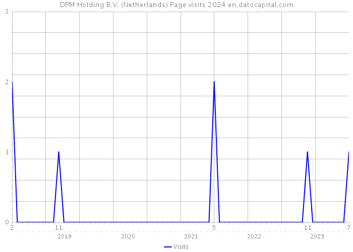 DPM Holding B.V. (Netherlands) Page visits 2024 