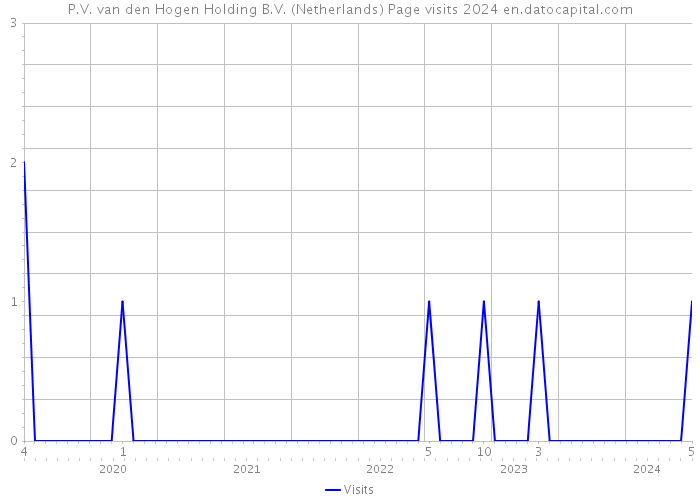 P.V. van den Hogen Holding B.V. (Netherlands) Page visits 2024 