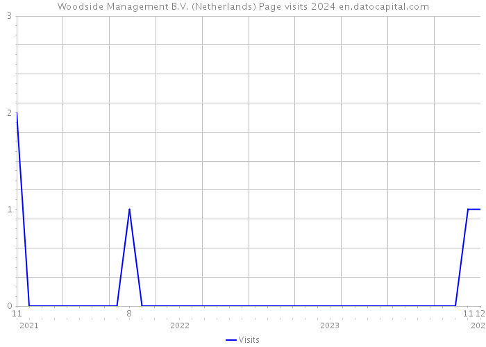 Woodside Management B.V. (Netherlands) Page visits 2024 