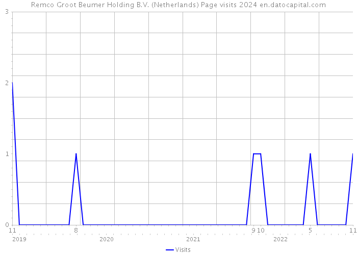 Remco Groot Beumer Holding B.V. (Netherlands) Page visits 2024 